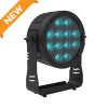 Rodie ip pro