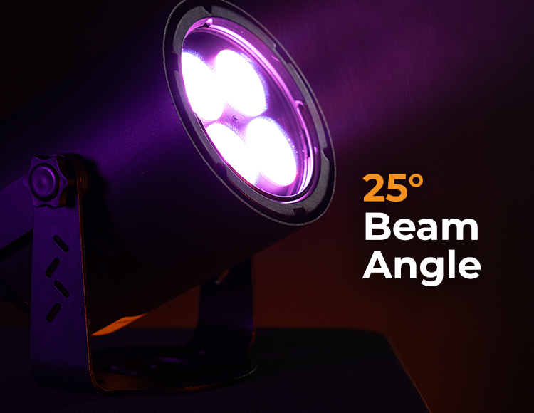WedLok Beam
